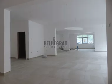 Stojana Stoleta Aranđelovića