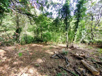 Okolne lokacije | 4zida.rs