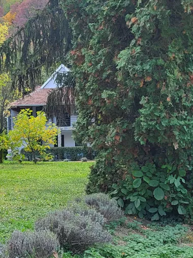 Krčedin