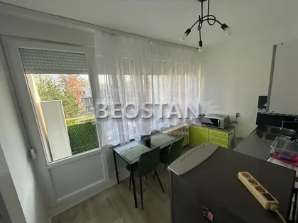 Dr Ivana Ribara | 4zida.rs