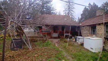 Palić | 4zida.rs