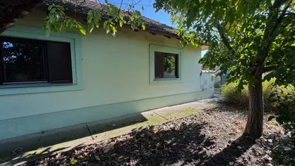 Mužlja | 4zida.rs