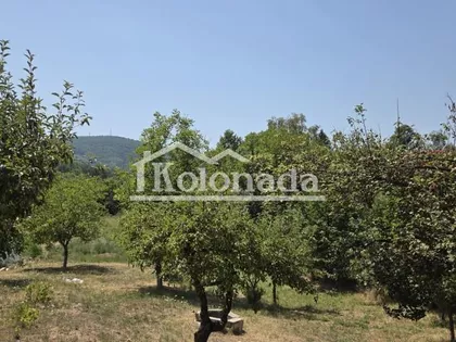 Nemenikuće | 4zida.rs