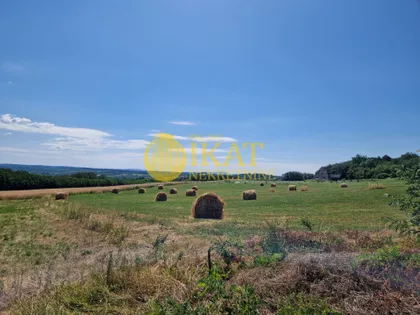 Barička Reka | 4zida.rs