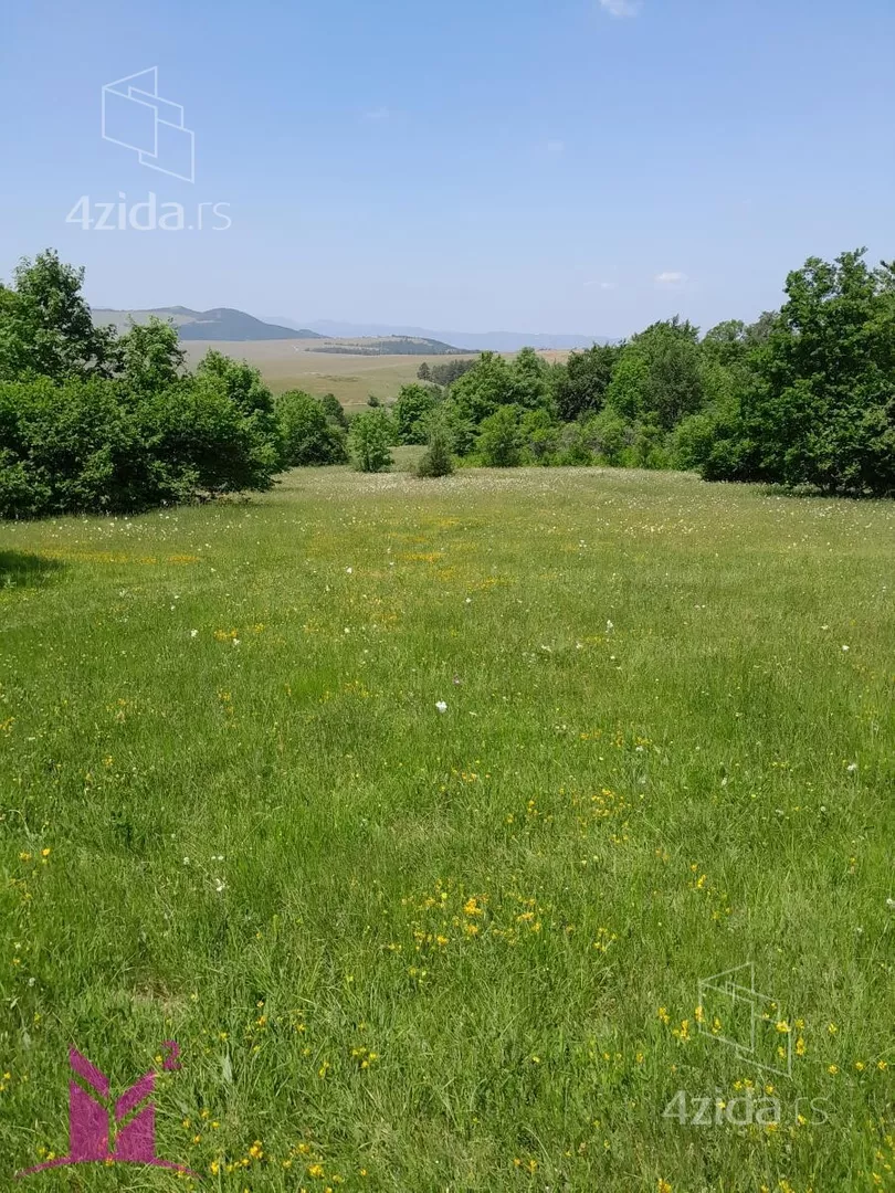 Plac | 4zida