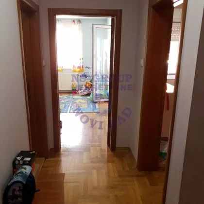 Dr Svetislava Kasapinovića | 4zida.rs