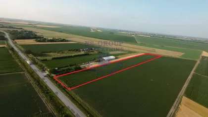 Međunarodni Put | 4zida.rs