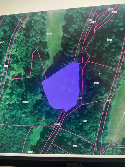 Lomnička | 4zida.rs