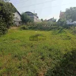 Plac | 4zida