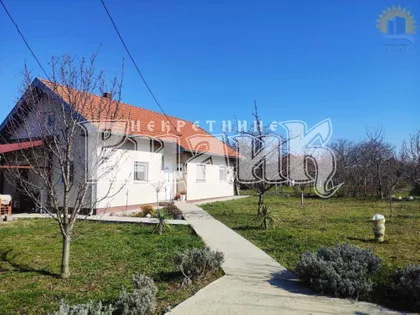 Buljubaše Ranka Uroševića | 4zida.rs