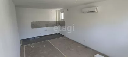 Cara Dušana | 4zida.rs