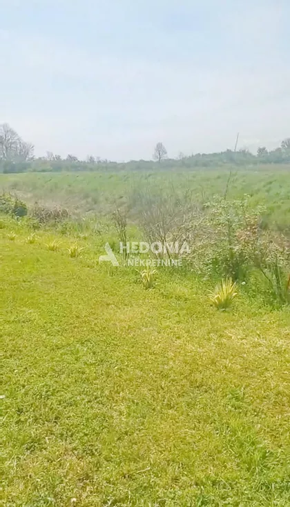 Svetomira Belića | 4zida.rs