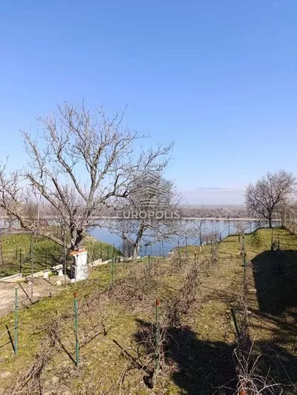 Ilije Šašića | 4zida.rs