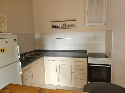 Dr Svetislava Kasapinovića | 4zida.rs