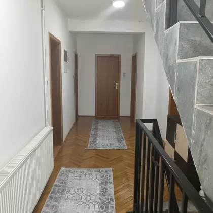 Ive Lole Ribara 28 | 4zida.rs