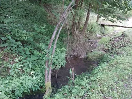 Trešnjevak | 4zida.rs