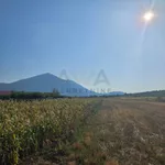 Poljoprivredno zemljište | 4zida