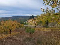 Zaklopača, Grocka opština, Beograd | 4zida.rs