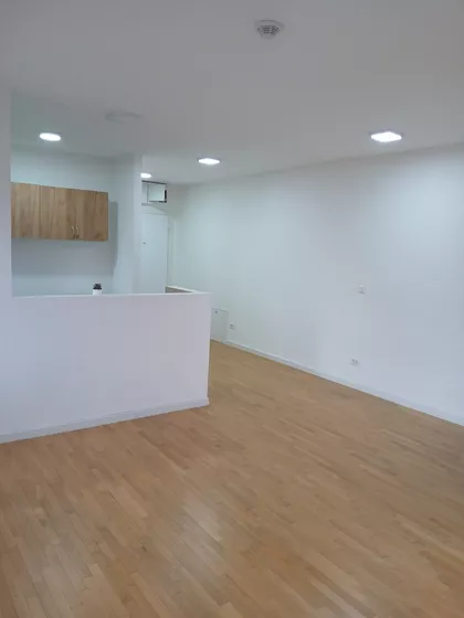 Vase Pelagića | 4zida.rs