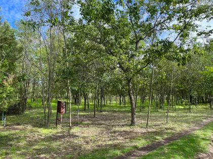 Borova 24 | 4zida.rs