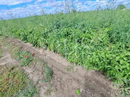 Branka Radičevića | 4zida.rs