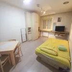 Novi Sad - Centar, Stari Grad, Gradske lokacije, Novi Sad | 4zida.rs | 4zida.rs