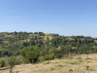 Plac | 4zida