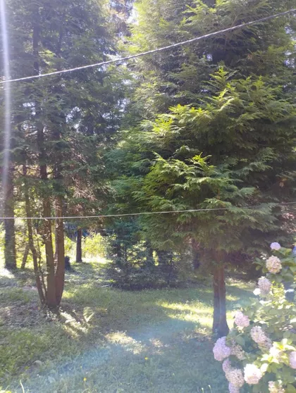 Šumski Laz | 4zida.rs