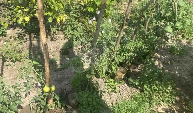 Poljoprivredno zemljište | 4zida