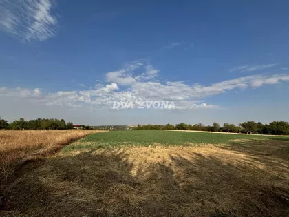 Čortanovci | 4zida.rs
