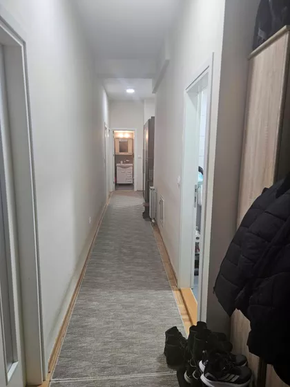 Stepa Stepanović | 4zida.rs