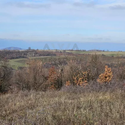 Gradske lokacije | 4zida.rs