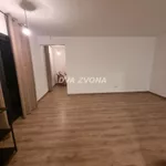 Čortanovci, Okolne lokacije, Inđija | 4zida.rs | 4zida.rs