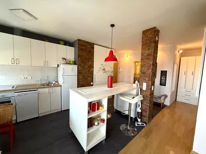 Mike Alasa 50 | 4zida.rs