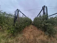 Poljoprivredno zemljište | 4zida