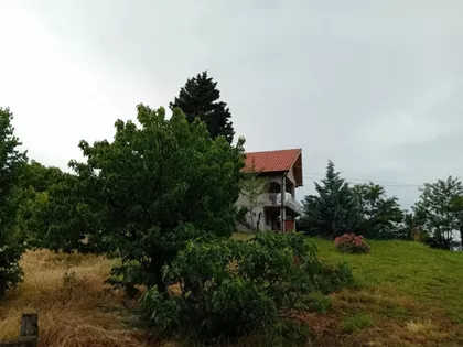 Starih Vinograda | 4zida.rs