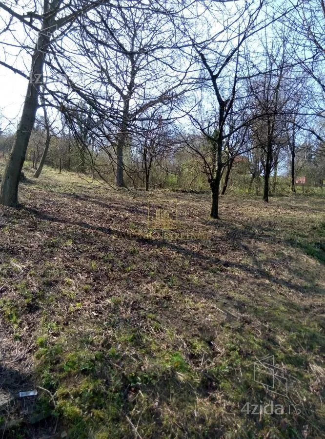Plac | 4zida