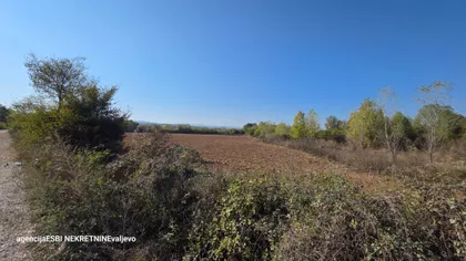 Beloševačka | 4zida.rs