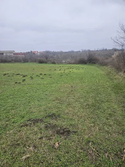 Kralja Petra Prvog | 4zida.rs