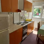 Gradske lokacije, Zrenjanin | 4zida.rs | 4zida.rs