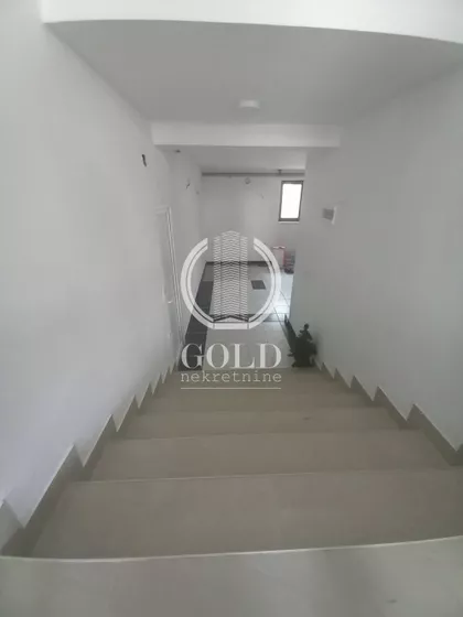 Ljubice Ravasi | 4zida.rs