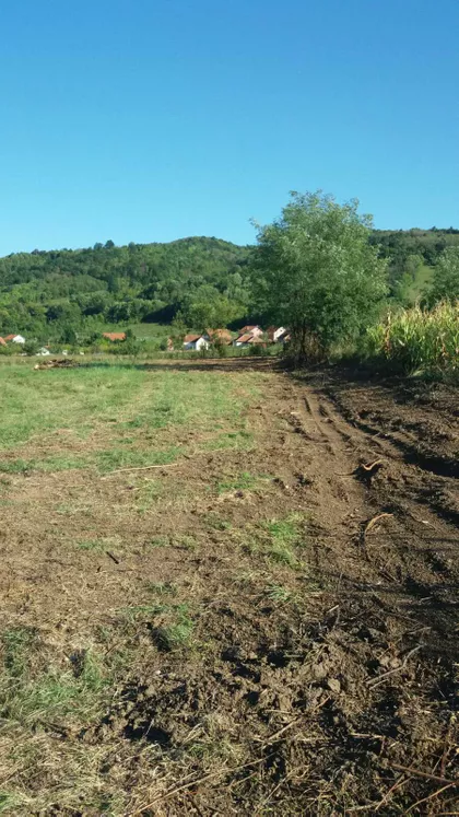 Milorada Miljkovića | 4zida.rs