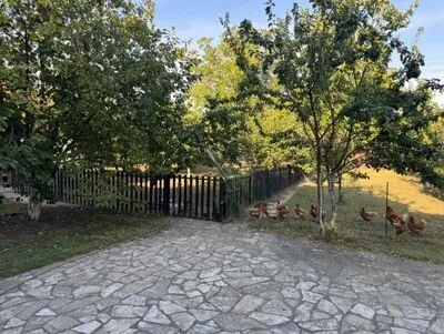 Kovilj | 4zida.rs