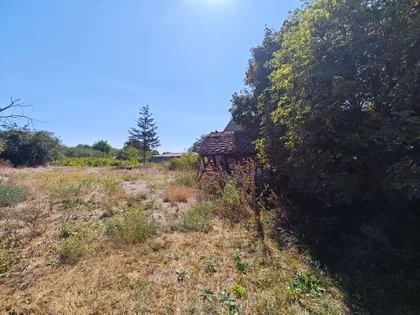Hrtkovci | 4zida.rs