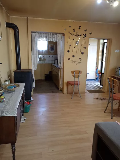 Pap Pavla | 4zida.rs