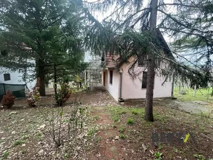 Čortanovci | 4zida.rs