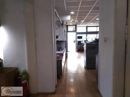 Vojvode Stepe | 4zida.rs