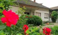 Vojlovica, Gradske lokacije, Pančevo | 4zida.rs | 4zida.rs