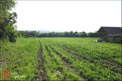 Kolonija | 4zida.rs