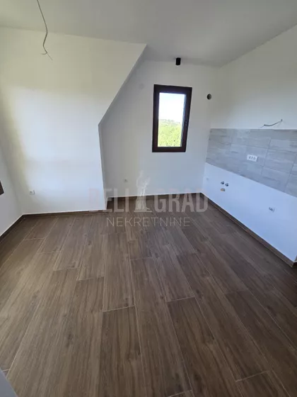 Belog narcisa | 4zida.rs